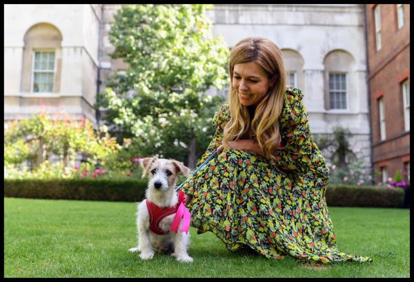 英國首相支持領養代替購買 收留棄養犬做英國第一狗