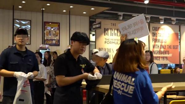 韓國動物權益團體強闖快餐店示威 向食客高叫「你們在吃屍體」！