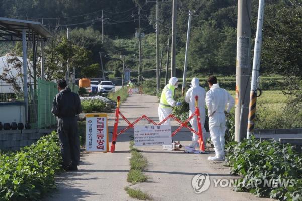 韓國首次爆發非洲豬瘟案例 豬肉價格急升超過5成！
