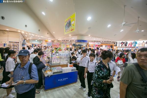 沖繩美麗海水族館 近距離觀賞海星/海豚