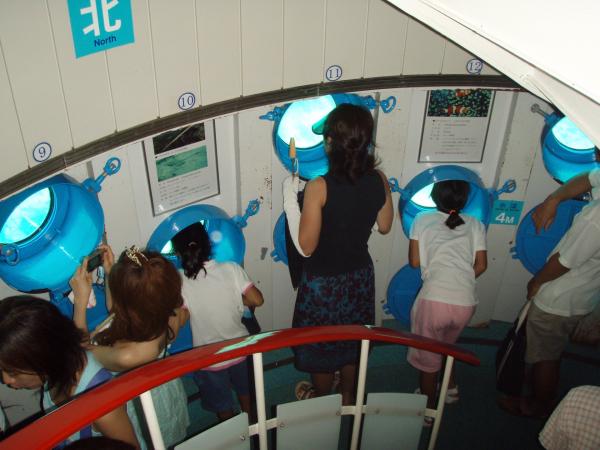 360度探索海洋世界！沖繩部瀨名海中公園 5米深海中瞭望塔+玻璃底遊艇