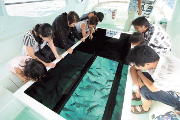 360度探索海洋世界！沖繩部瀨名海中公園 5米深海中瞭望塔+玻璃底遊艇