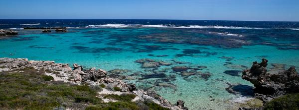 澳洲羅特尼斯島一日遊 造訪前軍事用地/欣賞島上自然風景