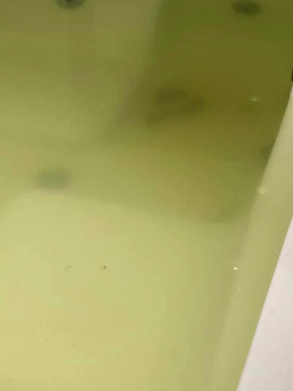 台灣酒店職員揭無品住客 浴缸內大小便滿水變黃綠色