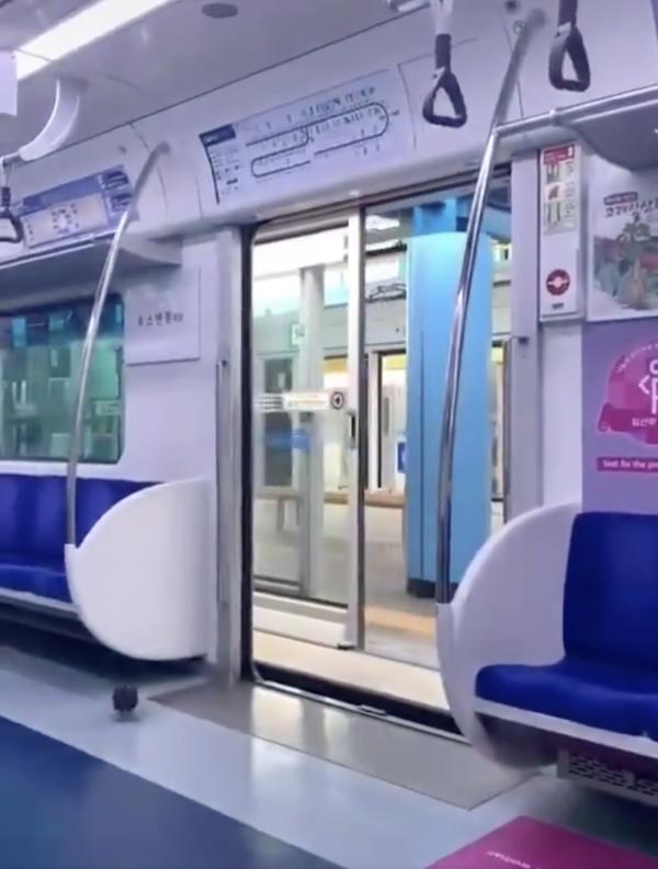 韓國鴿子乘電車守規矩下車影片爆紅 網民：雀鳥也乘搭電車上班