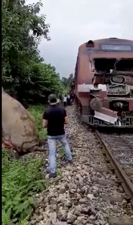 印度大象遭火車迎面撞上 癱倒路軌受傷掙扎爬進森林
