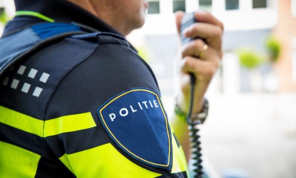 荷蘭盜竊案警方「拘禁」可疑小鳥 警方：牠是偷偷摸摸的目擊者