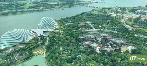 新加坡必到5大景點 teamLab展／濱海灣花園／熟食中心！