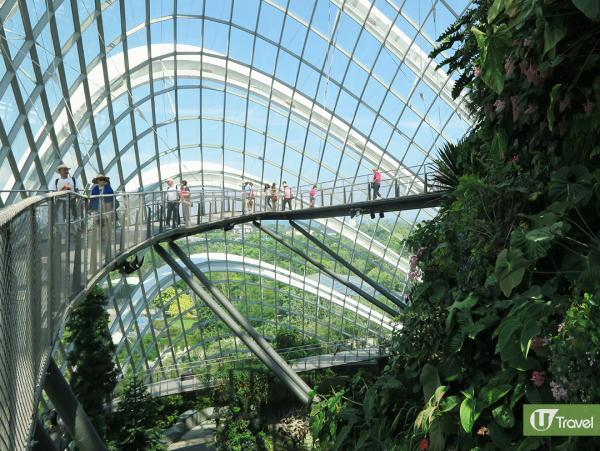 新加坡必到5大景點 teamLab展／濱海灣花園／熟食中心！