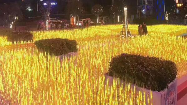 台灣夜間光影裝置藝術展 全台唯一夜光兒童遊樂園/2000棵發光金針花