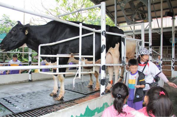 台灣親子牧場一日遊 餵小動物/小型划艇/擠牛奶體驗