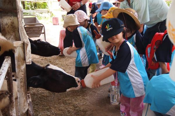 台灣親子牧場一日遊 餵小動物/小型划艇/擠牛奶體驗