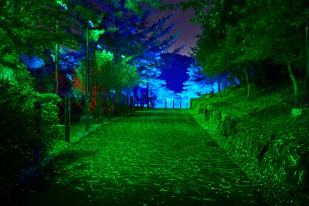 關西最大規模燈飾！京都琉璃溪溫泉公園KYOTO ILLUMINATION SYNESTHESIA HILLS