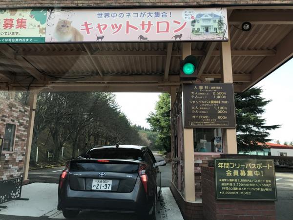 九州自然動物園 乘坐叢林巴士近距離觀賞動物