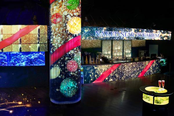 品川水族館冬季聖誕投影展覽 置身夢幻星海燈光探望海洋生物
