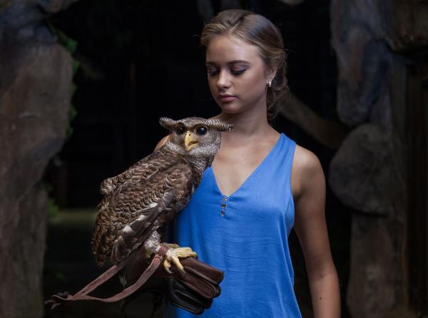 印尼峇里島動物園 探索黑夜世界/獅子餐廳/接觸貓頭鷹