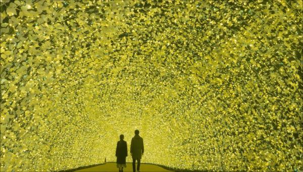 全日本最大規模！名花之里燈飾 開幕以來最大型櫻花燈飾、光之隧道