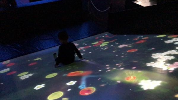 九州teamLab Island遊樂園 設計獨一無二立體模型/巨型發光波波池