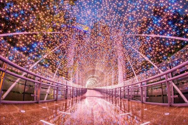 新北市歡樂耶誕城11月亮燈！ 全台最高聖誕樹、超浪漫燈光隧道