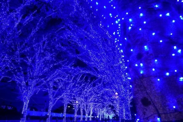 冬季限定青之洞窟SHIBUYA回歸 感受澀谷藍色夢幻燈海