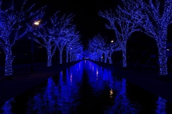 冬季限定青之洞窟SHIBUYA回歸 感受澀谷藍色夢幻燈海