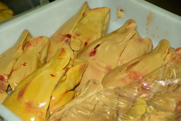 強迫餵鵝養大鵝肝過程太殘忍 紐約宣佈2022年將禁售鵝肝