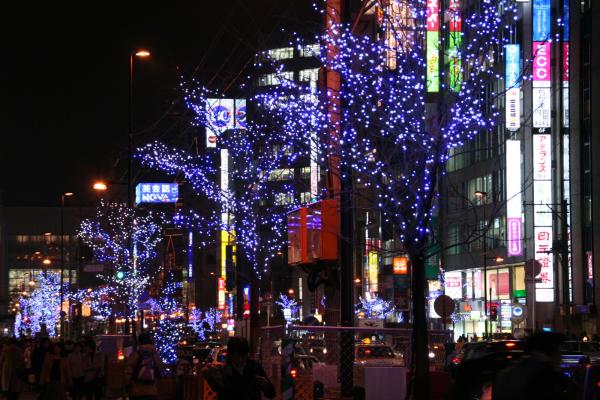日本北海道聖誕燈飾景點推薦 美瑛青池/札幌/小樽/函館各地點燈時間/交通方法