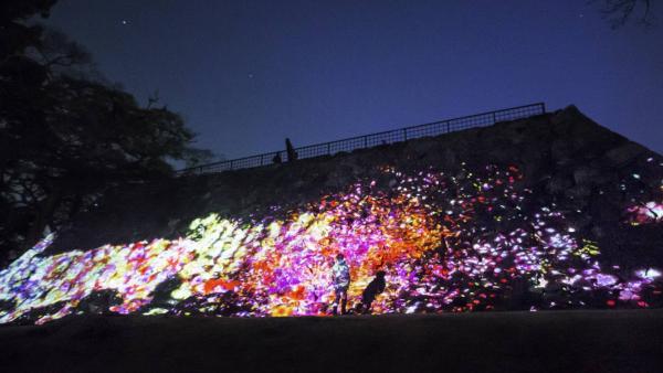 互動光線藝術空間登陸九州 teamLab福岡城跡光之祭典