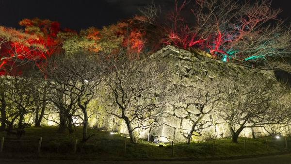 互動光線藝術空間登陸九州 teamLab福岡城跡光之祭典