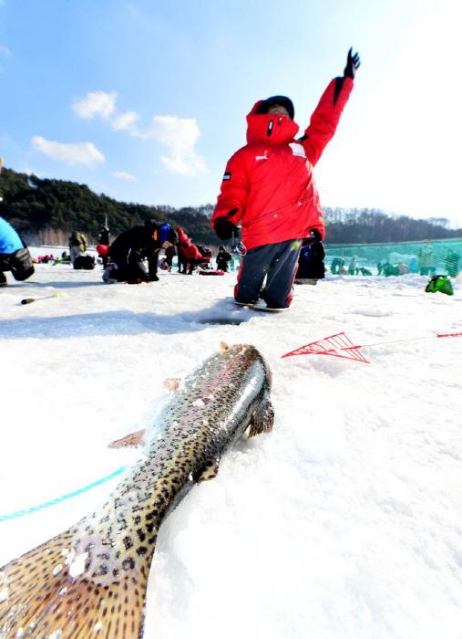 平昌鱒魚節限定至2020年 釣冰魚／雪橇／冰上碰碰車！