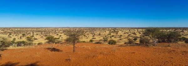 波札那喀拉哈里沙漠(Kalahari Desert, Botswana)