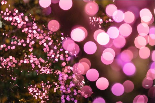 東京目黑川冬季點燈 41萬顆粉紅色LED燈打造夜櫻般夢幻美景