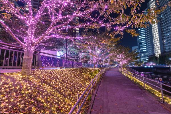 東京目黑川冬季點燈 41萬顆粉紅色LED燈打造夜櫻般夢幻美景