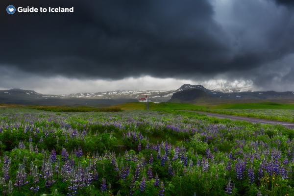 冰島氣候難以捉摸？ 當地人分享冰島旅行時要注意的天氣貼士