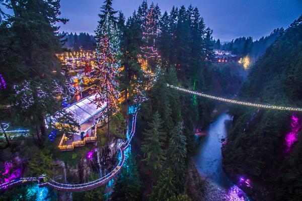 溫哥華吊橋公園聖誕點燈 數十萬盞彩燈成加拿大冬日必去熱點