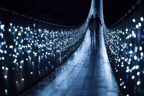 溫哥華吊橋公園聖誕點燈 數十萬盞彩燈成加拿大冬日必去熱點