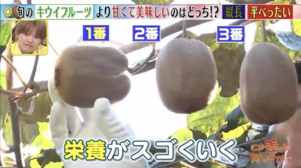 日本節目教選必甜奇異果 1招令奇異果由酸變甜