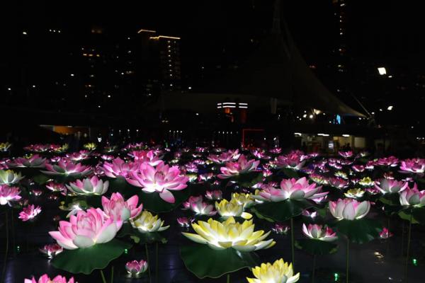 澳門光影節2019回歸4大路線 光雕表演/夢幻燈飾裝置感受聖誕氣氛