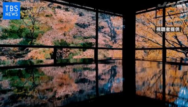 紅葉季遊客迫爆京都景點交通擾民 市長：京都不是為觀光而建