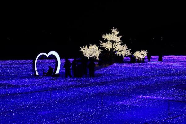 海雲台燈光節正式展開 超夢幻藍色LED燈海！