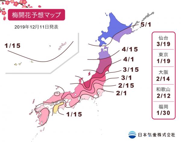 2020年日本梅花開花預測