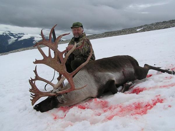 獵人舉血色鹿角「慶祝聖誕」 付錢即合法射殺挪威馴鹿