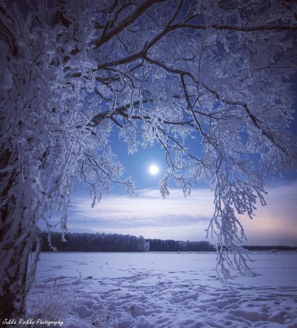 芬蘭童話式雪景 超夢幻漫天雪地冰封森林