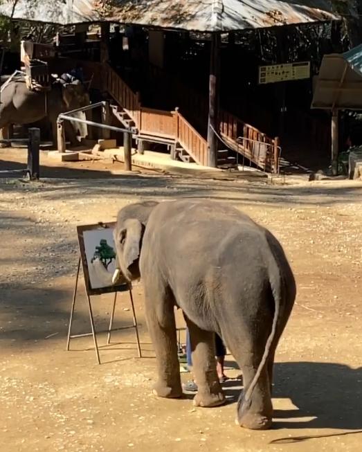 劉嘉玲遊泰國曬大象表演片 網民鬧爆：不知道訓練過程多不人道嗎？