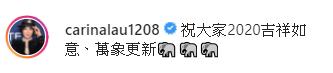 劉嘉玲遊泰國曬大象表演片 網民鬧爆：不知道訓練過程多不人道嗎？