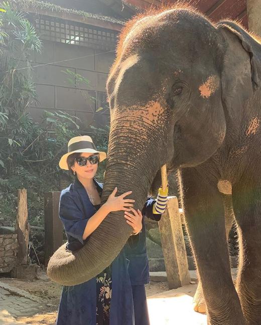 劉嘉玲遊泰國曬大象表演片 網民鬧爆：不知道訓練過程多不人道嗎？
