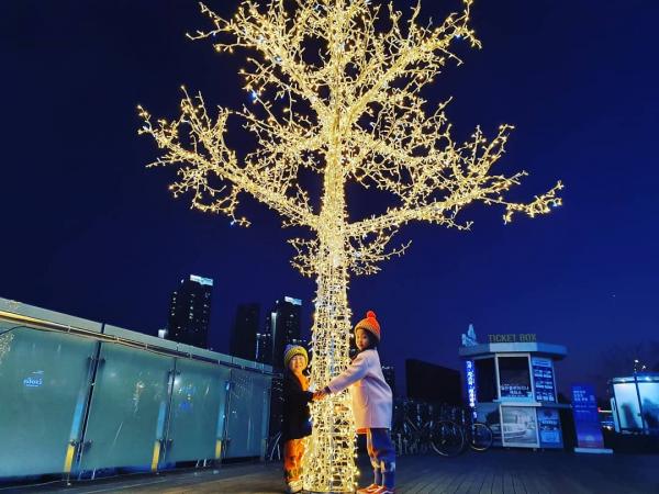 首爾三光島燈節夢幻展開 漢江夜景浪漫體驗！