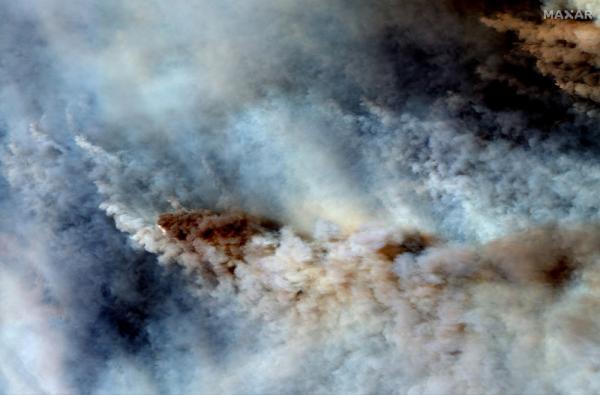 25人喪生逾5億動物死亡！ 澳洲山火不受控預計將持續多月