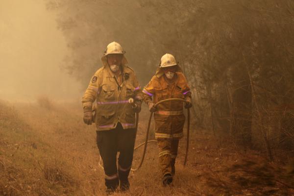 25人喪生逾5億動物死亡！ 澳洲山火不受控預計將持續多月