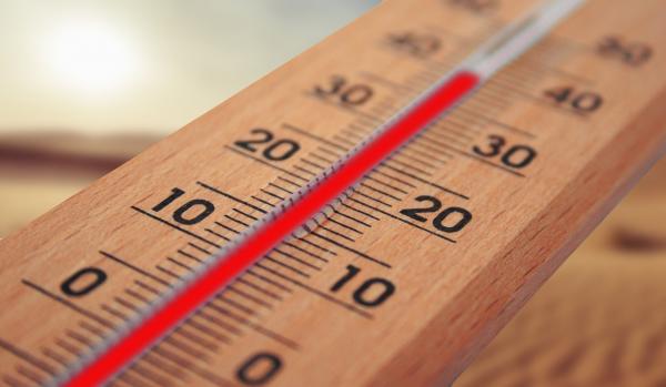 挪威踏入2020年即錄得19度高溫 創下有史以來最熱1月